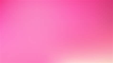Free Rose Pink Blurred Background