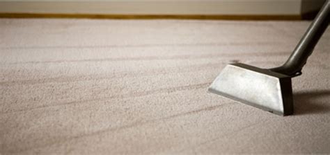 Carpet Cleaning Tips Your House Helper
