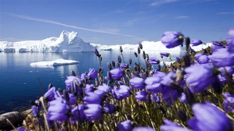 Greenland Landscape Wallpapers Top Free Greenland