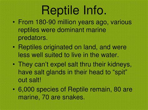 Ppt Marine Reptiles Powerpoint Presentation Free Download Id3797638