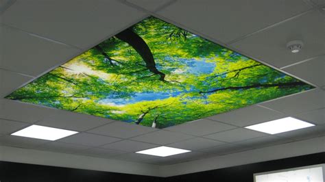 Ceiling Fabric Light Boxes Tension Fabric Ceiling Lightboxes Wandco