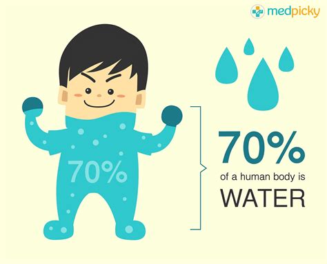 Most Of The Water In The Human Body Is Contained Inside Our Cells