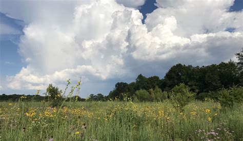 Find here the best pottery barn deals in lake forest ca and all the information from the stores around you. Boot Lake Nature Preserve - Elkhart County Parks