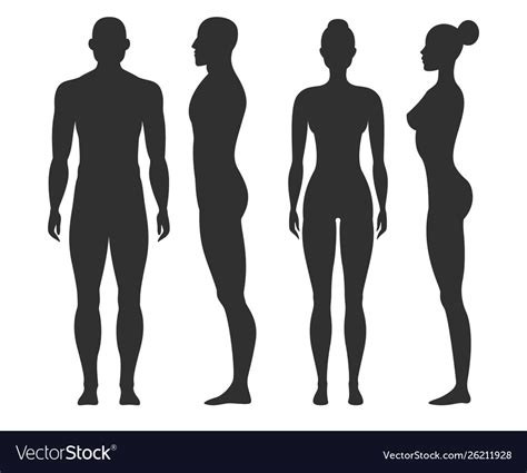 Female Body Silhouette Outline Download 760 Female Body Silhouette Free