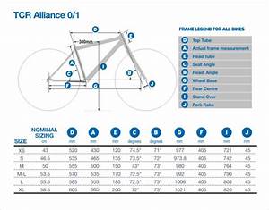 Bicycle Giant Bicycle Frame Size