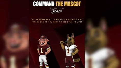 Commanders Clash With Hogs Over New Mascot Possibilities Trademark