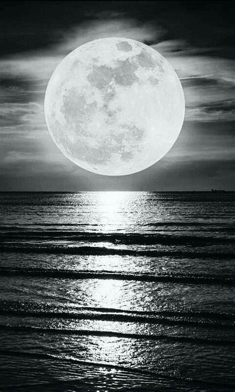 Full Moon Above Sea In Black And White Cropped Mobile Wallpsper 480x800