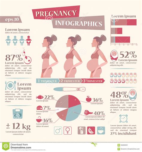 Pregnancy And Birth Infographics With Flat Icon Set Stock