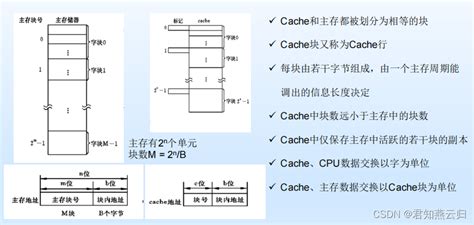 Cache Cache Csdn