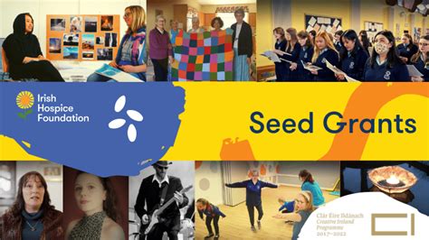 Ihf Seed Grant Programme 2022 2023 Opportunities Dance Ireland