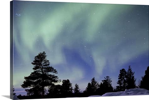 Northern Lights Over Taiga Forest In Arctic Finland Wall Art Canvas