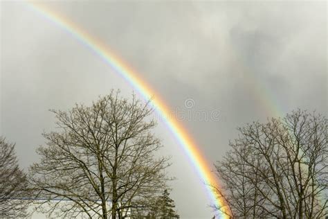 Rainbow On A Rainy Day Stock Photo Image Of Phenomenon 70242954