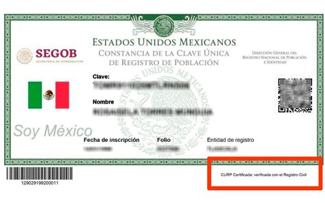 CURP certificada Cómo saber si mi CURP está bien El Sol de Tlaxcala Noticias Locales