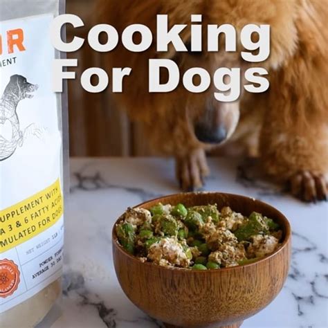 Making dog food that meets fido's nutrition needs isn't as simple as you might think, says pet many dog food recipes fall short in certain nutrients, especially iron, copper, calcium, and zinc. Pin on Homemade Dog Food Recipes