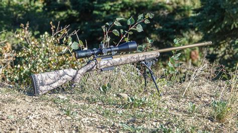 Ruger American Go Wild Rifle Review 65 Creedmoor Bolt Action