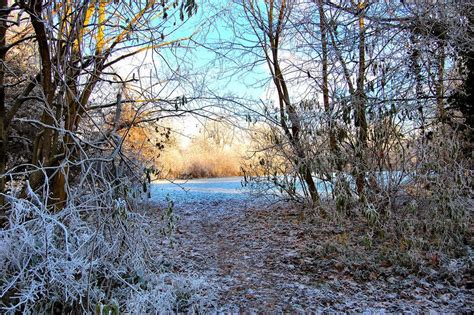 45 Reasons You Should Never Leave Cheshire Cheshire Winter Scenes