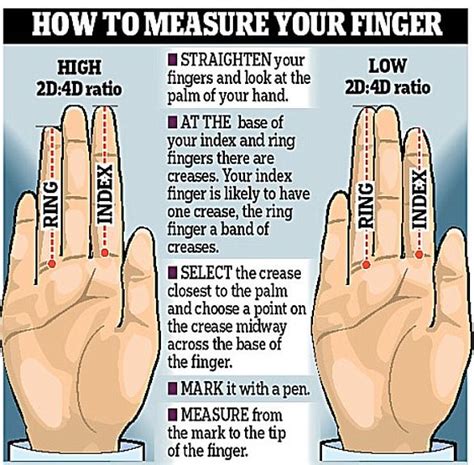 Revealed What The Length Of Your Fingers Says About You According To