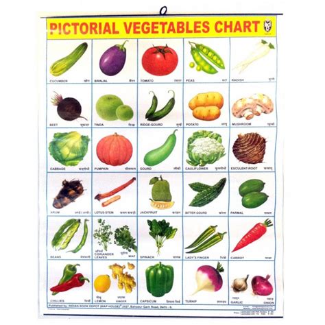 Alphabetical List Of Vegetables