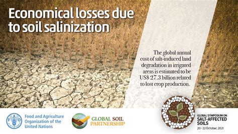 Soil Salinity Global Soil Partnership Food And Agriculture