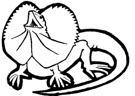 Drawings Of Lizard Clipart Best