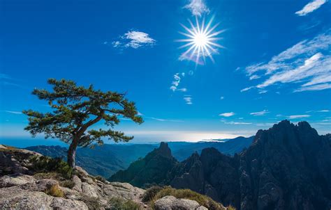 Free Download Hd Wallpaper The Sky The Sun Mountains Tree France