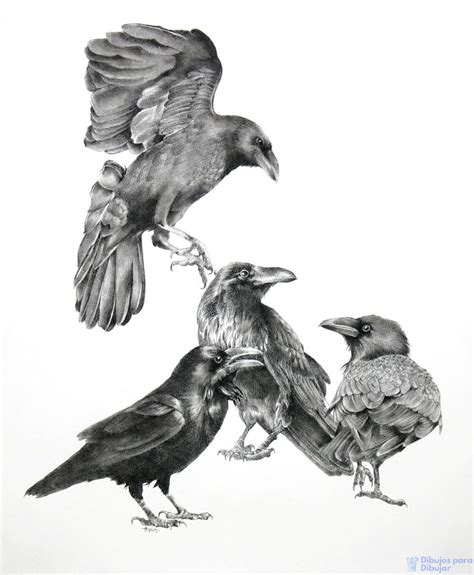 Entre la colección encontrarás series de dibujos clásicas de los 80 y 90 como david el gnomo, dartacan y los tres. 磊 Dibujos de cuervos【+75】facil tutorial