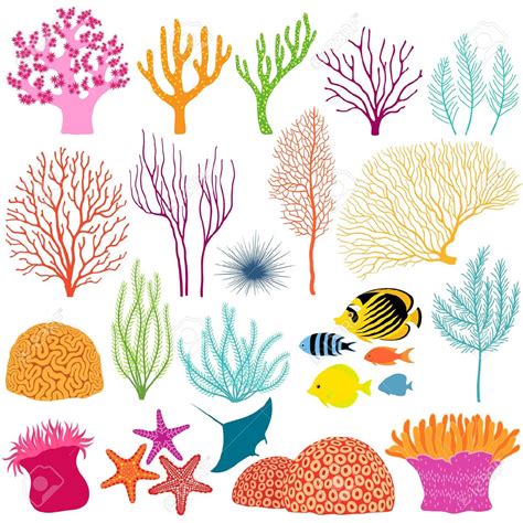 Coral Reef Clipart 20 Free Cliparts Download Images On Clipground 2024