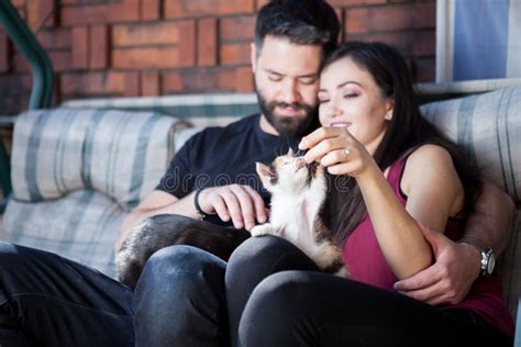 Gorgeous Beautiful Young Couple Holding Cats In Hands Stock Image