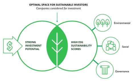 Sustainable Low Carbon Esg Investing Green River Sustainable