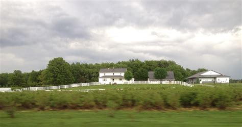 Amish Horses A Real Amish Paradise