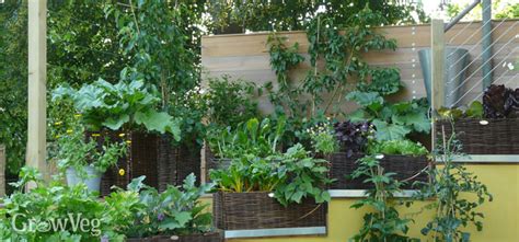 Ideas For Small Gardens Growing Vegetables Vertically