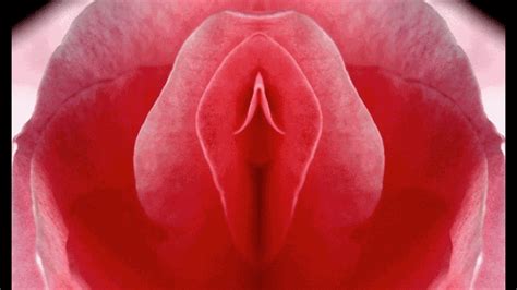 Orgasmo femenino qué es el clítoris características y cómo estimular