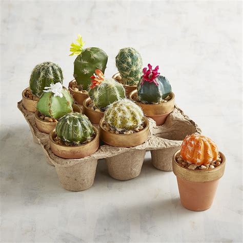 Faux Mini Cactus Arrangement Set Of 9 Cactus Flower Cactus Mini Cactus