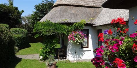 Summer cottage garden with red poopy, purple lupine and other flowers in bloom, with a walking path against stone wall covered with climbing lush plants. Luxury Holiday Cottages in Ireland