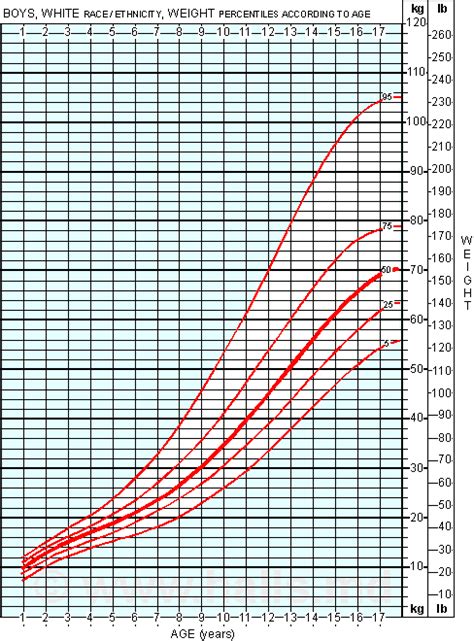 Average Weight Chart For Boys Moose And Doc