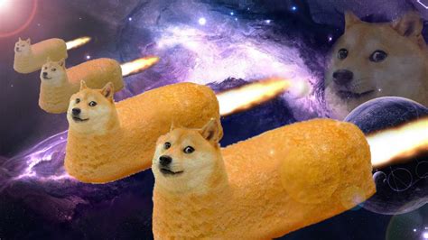 В tiktok прорекламировали криптовалюту doge. Doge Twinkie This Time In Space.png : pyrocynical