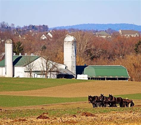 Beautiful Day In The Fields New Holland Pa Lancaster County Trip