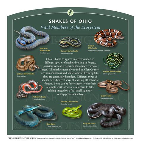 Outdoor Interpretive Sign Snakes Ohio Identification Guide Garter