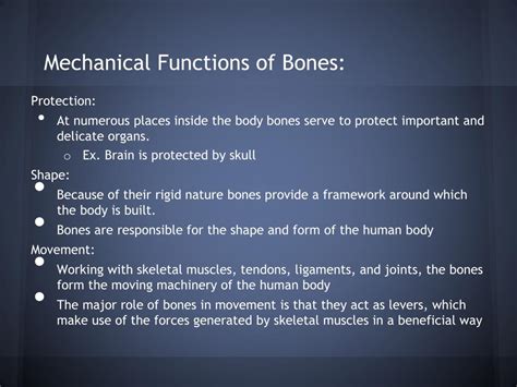 Ppt Bones Powerpoint Presentation Free Download Id2176803