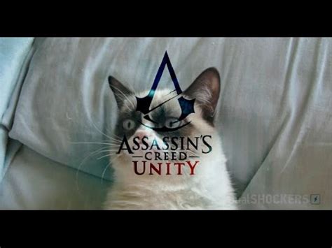 Killer Cats Assassins Creed Unity Easter Egg Youtube