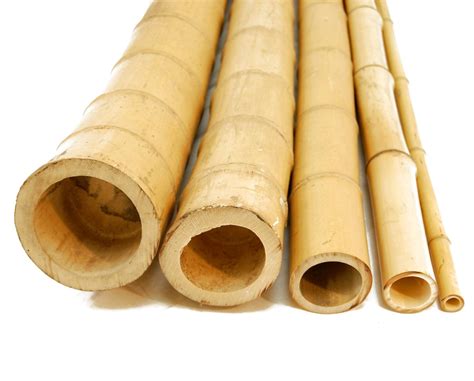 Bamboo Poles For Sale In UK 61 Used Bamboo Poles