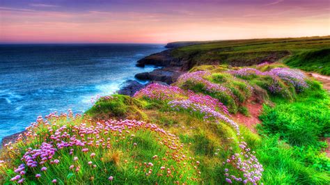 Landscape Ocean Shore Sea Green Grass Spring Flowers Dunmore East