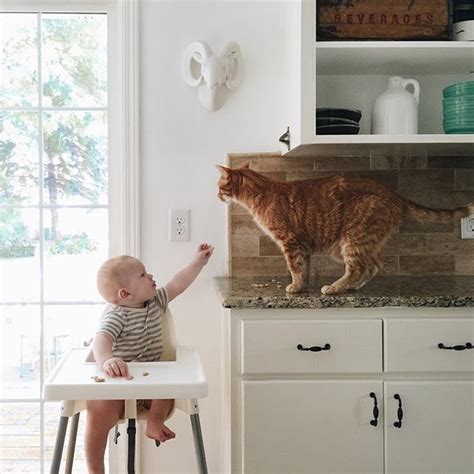 Pin By Shawn Baines On Kids With Critters Dogs And Kids Cat Kids