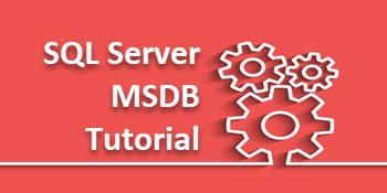 Sql Server Msdb Database Overview