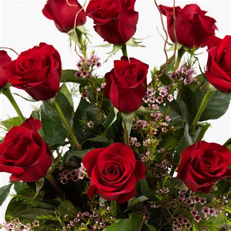 Classic Dozen Roses Flower Delivery And Florida Florist Aramus House Of