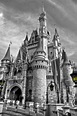 Cindy's Castle | Black and white photo wall, Black and white picture ...