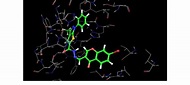 Model of compound 7b docked into the binding site of COX-2 | Download ...