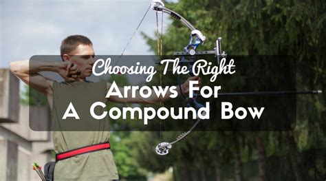 Choosing The Right Arrows For A Compound Bow All You Need To Know