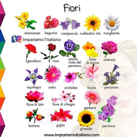 Nomi fiori esotici il fascino dei fiori. Impariamo l'italiano! 🎗 on Instagram: "Quali sono i vostri fiori preferiti?" (con imágenes ...