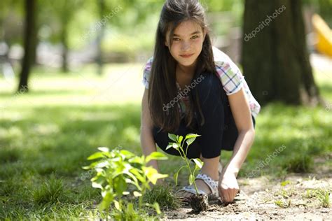 Little Girl Planting A Tree — Stock Photo © Stefanolunardi 12258708